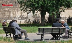 Diyarbakır nüfusunun yüzde kaçı emekli?