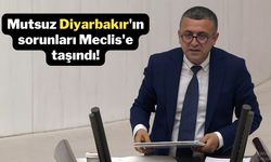 Mutsuz Diyarbakır'ın sorunları Meclis'e taşındı!