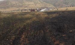 Şırnak Silopi’de 200 dönüm buğday yandı