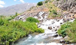 Tunceli Valiliği kararı duyurdu: Artık yasak!