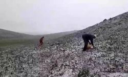 Tunceli’de mayıs ayında kar sürprizi