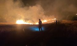 Urfa'da ormanlık alanda yangın çıktı!