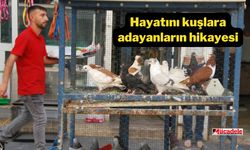 Yer Diyarbakır! Hayatını kuşlara adayanların hikayesi