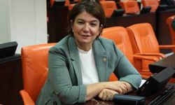 AK Parti Diyarbakır milletvekilinden “Kayyum” çıkışı!