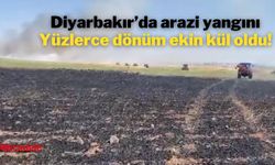 Diyarbakır’da 400 dönümlük ekili tarla kül oldu