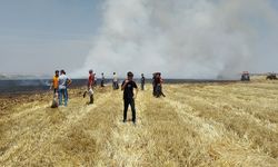 Diyarbakır'da biçerdöverden yangın çıktı! Tarla kül oldu