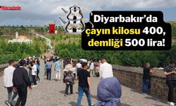 Diyarbakır’da çayın kilosu 400, demliği 500 lira!