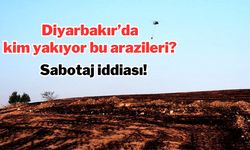 Diyarbakır’da kim yakıyor bu arazileri? Sabotaj iddiası!