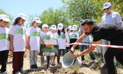 Diyarbakır’da okullar çiftliğe dönüşüyor