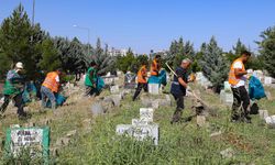 Diyarbakır’da tüm mezarlıklar temizlenecek