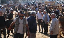 Muş'tan Diyarbakır'a hayvan satmaya geldi: Günlerdir kayıp