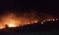 Malatya'da üç ayrı alanda yangın çıktı!