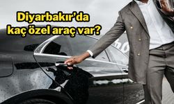 TÜİK açıkladı! Diyarbakır’da kaç özel araç var?