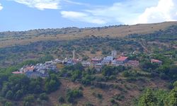 Tunceli'de bir düğünde magandalığa karşı farkındalık pankartı!