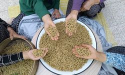 Tunceli'nin köyünden çıkıp dünyaya ihraç ediliyor