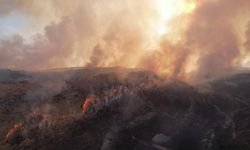 Adıyaman'da korkutan yangın! Evler hasar aldı