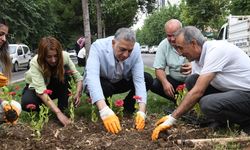 Diyarbakır Bismil’e binlerce mevsimlik çiçek