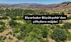 Diyarbakır Büyükşehir’den çiftçilere müjde!