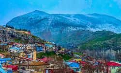 Diyarbakır’daki bu köyde Antalya iklimi yaşanıyor!