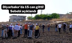 Diyarbakır’da 15 can gitti! Sebebi açıklandı