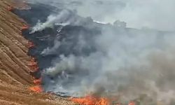 Diyarbakır’da korkutan yangın! Binlerce dönüm arazi zarar gördü