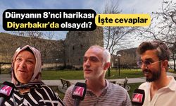 Dünyanın 8’nci harikası Diyarbakır'da olsaydı? İşte cevaplar