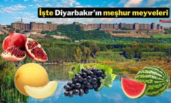 Karpuz, nar ve daha nicesi! İşte Diyarbakır’ın meşhur meyveleri