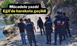 Mücadele yazdı! Eğil’de harekete geçildi