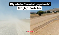 Diyarbakır’da asfalt yapılmadı! Çiftçi çözüm buldu