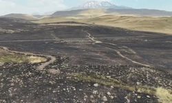Patnos’ta 3 köyü tehdit eden arazi yangını! Saatler sonra söndürüldü