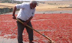 Urfa isotunun acı serüveni başladı