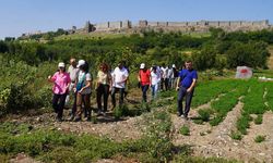 Diyarbakır Büyükşehir’den Hevsel Bahçeleri çıkışı!