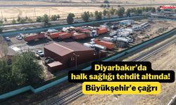 Diyarbakır’da halk sağlığı tehdit altında! Büyükşehir’e çağrı