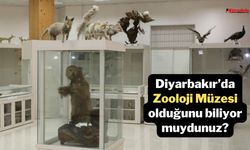 Diyarbakır’da Zooloji Müzesi olduğunu biliyor muydunuz?