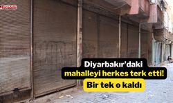 Diyarbakır’daki mahalleyi herkes terk etti! Bir tek o kaldı