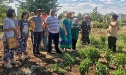 Diyarbakır’daki Park 75’i ziyaret ettiler