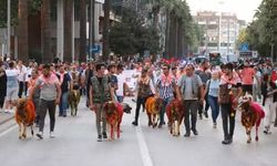 Koyunlar sudan atladı, çobanlar bayram yaptı!