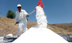 Tunceli’de üretiliyor! Sıfır katkı bolca minerali var Avrupa kapıda bekliyor