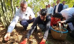 Bakan Işıkhan: Temel amacımız çocuk işçiliğinin sona erdirilmesi