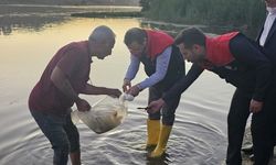 Dicle Nehri'ne 200 bin yavru sazan balığı bırakıldı