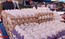 Yumurta üretimi düşüşte: 6 ayda 330 milyon adet azaldı