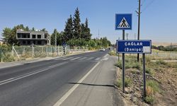 Mardin’de yol kenarında bulundu! Tabancayla vurulmuş