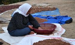 Şırnaklı Heybet Ana’dan fedakarlık örneği!