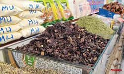 Kışın favorisi belli oldu: Zencefil, propolisli, kara mürver ve karadut…