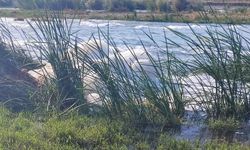 Dicle Nehri’nde inceleme bitti: Beyaz köpüğün sebebi belli oldu