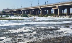 Diyarbakır Dicle Nehri’nde “beyaz köpük” alarmı!