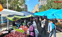 Diyarbakır'da domates altın oldu! Yüzde 500 zam şaşkına çevirdi