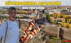 Diyarbakır’a geldi aç kaldı! Her yerde ciğer var dedi