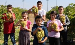 Elazığ’da hasat başladı çocuklar renk kattı!