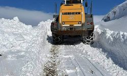 Hakkari’de kar kalınlığı 1 metreyi aştı, köy yolları kapandı